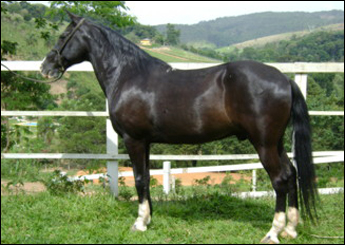 DIAMANTE
