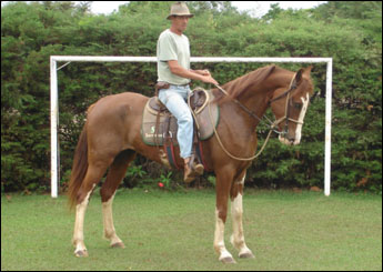 MARACATU