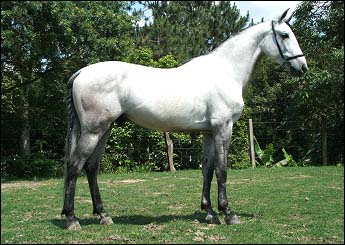 ZEGRI DO DPC
