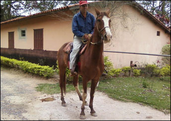 FAISCA