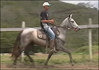 FEITICEIRA DO PAPPO