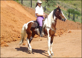 FARAÓ
