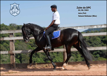 ZAIRE DO DPC
