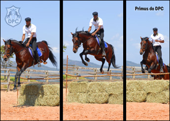 PRIMUS DO DPC