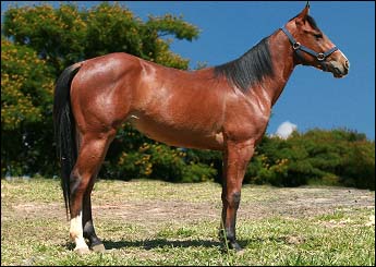 PRINCSS FUTURITY WD