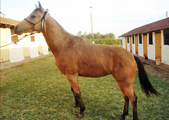 GLORIA BARS SANTA RITA