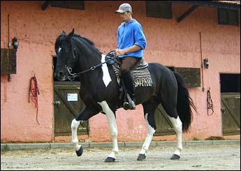SARGENTO