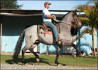 VULCÃO DA PAGÉ