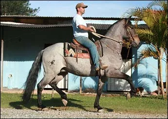 VULCÃO DA PAGÉ