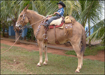 FRONTEIRA