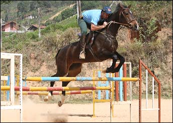 CIGANINHA FOR