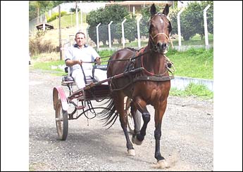 SILVITA
