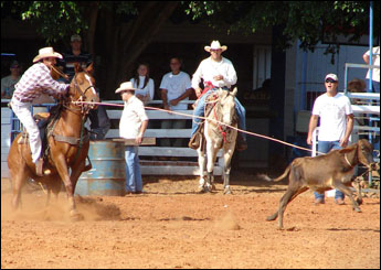 LONE STAR DOC CSJ