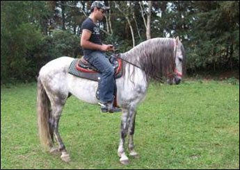 XAVANTE