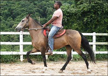 DAMA DA CONQUISTA