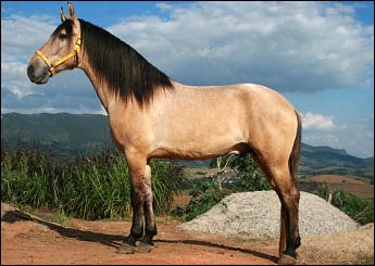 SONHO DO ITAMARATY