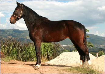 PANTERA