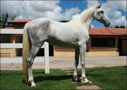 BEDUR AZEREDO