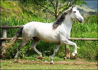 VULCÃO HI