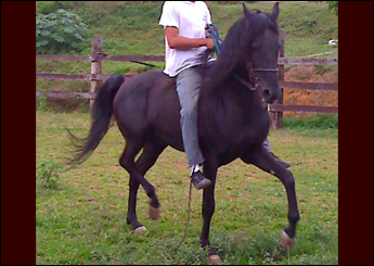 TABACO RA