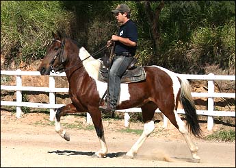 APACHE DA CONQUISTA