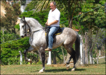 Sem nome Informado - 3370