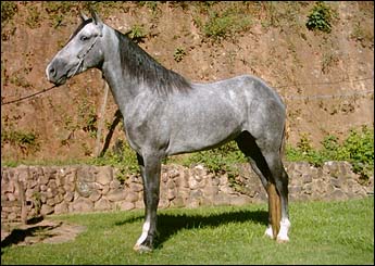 ROJAR DO RANCHO PABLO
