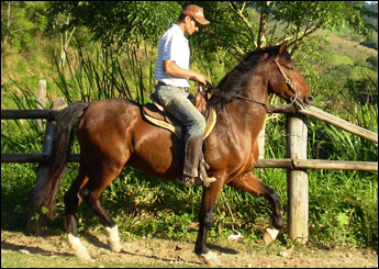 VALENTE