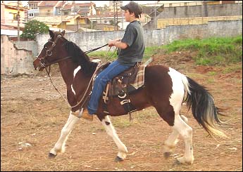 NEVADA DO ZANTUN