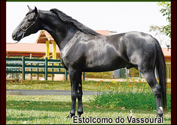 Sem nome Informado - 3187
