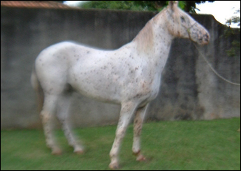 Sem nome Informado - 3159