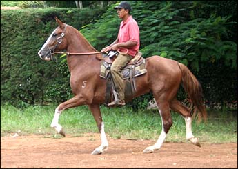 CADETE RA