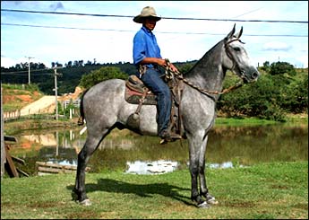 Sem nome Informado - 3137