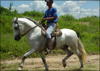 Sem nome Informado - 3136