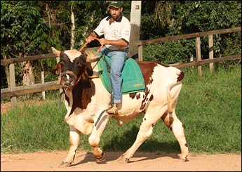 Sem nome Informado - 3014