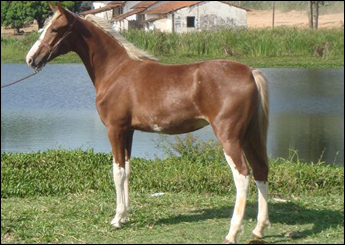 Sem nome Informado - 2960