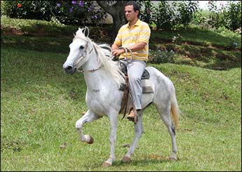 BOLERO DE LAVRAS