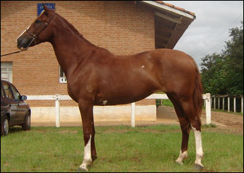 Sem nome Informado - 2864