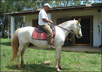 ESCOLHIDA SABARÁ