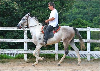 BRILHANTE REQUINTE