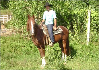 RAVENGAR