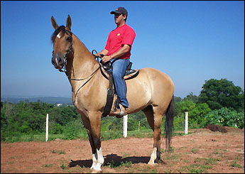 LEGENDÁRIO DO RG