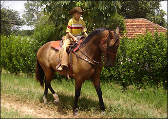 NEGÃO