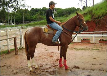 PAQUETÊ
