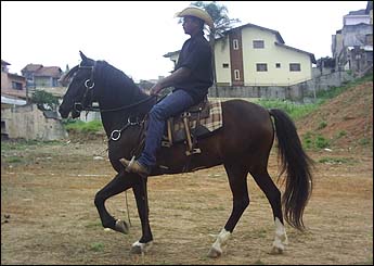 ESTEIO DO ZANTUM