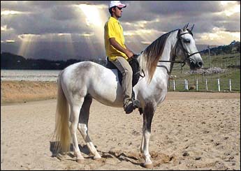 RAIO DO RANCHO NOVO