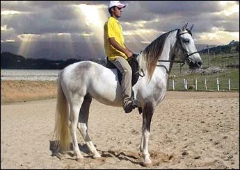 RAIO DO RANCHO NOVO