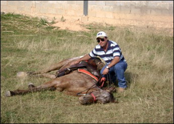 Sem nome Informado - 2540