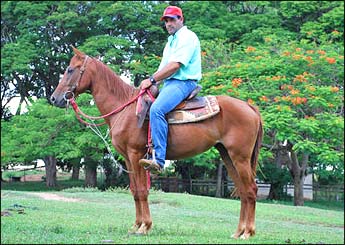 Sem nome Informado - 2533