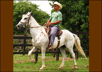 SOBERANO DA JM